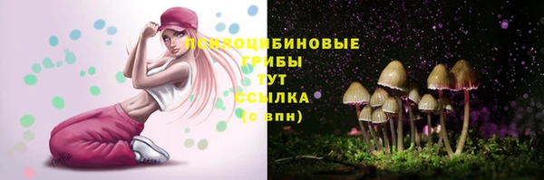 твердый Нея