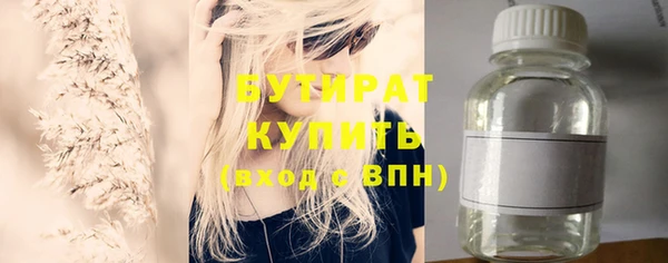 индика Надым