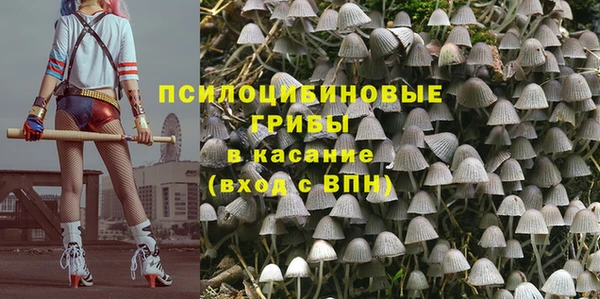 дживик Навашино
