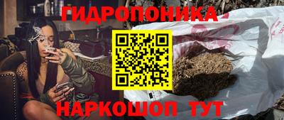 не бодяженный Бийск