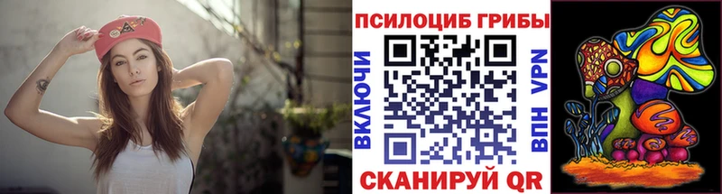 кракен зеркало  Новодвинск  Псилоцибиновые грибы прущие грибы  даркнет сайт 
