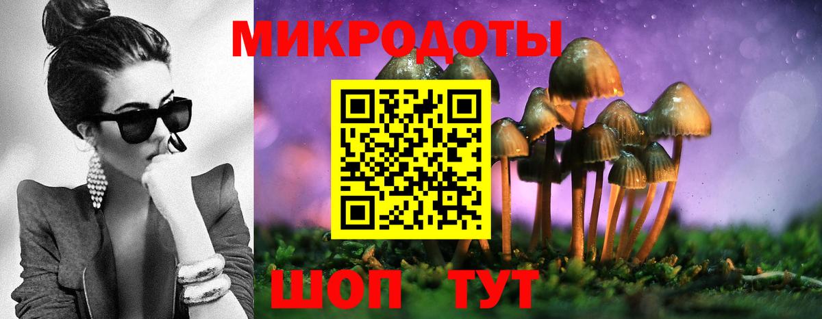 Псилоцибиновые грибы ЛСД  Вход с VPN  Новодвинск 