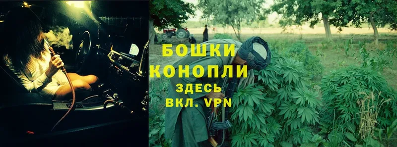 Марихуана LSD WEED  mega маркетплейс  Новодвинск 