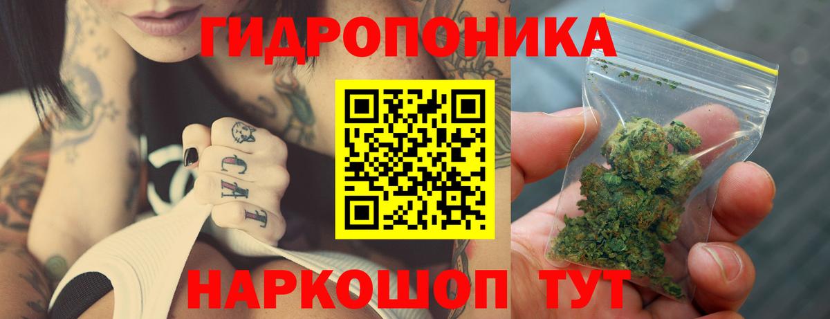 МАРИХУАНА конопля  Каннабис марихуана  Вход с VPN  Новодвинск 